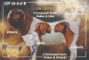 5 X BOER GOAT EMBRYO Passano Boerdery