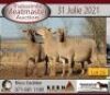 2 X MEATMASTER OOI KERN MEATMASTERS (PER STUK OM LOT TE NEEM)
