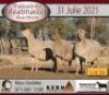 2 X MEATMASTER OOI KERN MEATMASTERS (PER STUK OM LOT TE NEEM) - 2
