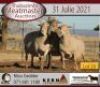 2 X MEATMASTER OOI KERN MEATMASTERS (PER STUK OM LOT TE NEEM) - 3