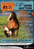 CHICKEN LOTS START FROM LOT 100 - DIRECTLY AFTER THE HORSES