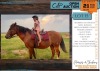 1 X BOERPERD CROSS BLESMAN GELDING JAN BOSHOFF BOERDERY (MELANIE BOSHOF)