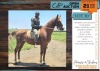 1 X SADDLER CROSS BARRY GELDING JAN BOSHOFF BOERDERY (MELANIE BOSHOF)