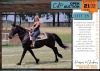 1 X FRESIAN BLACK BEAUTY MARE BLUEMOON RANCH (GABRIELLA CASILLO)