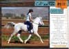 1 X ARABIAN MARENE AHSRIEL GELDING BIANKA DELPORT