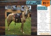 1 X CROSS MUSTANG SALLY MARE YAKEZA RANCH (ANYA VAN DER MERWE)
