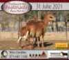 1+1 X MEATMASTER OOI KERN MEATMASTERS - 2