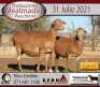 1+1 X MEATMASTER OOI KERN MEATMASTERS - 3