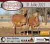 1+1 X MEATMASTER OOI KERN MEATMASTERS - 4