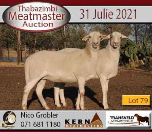 2 X MEATMASTER OOI KERN MEATMASTERS (PER STUK OM LOT TE NEEM)