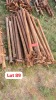 1 X 29 Scaffolds Standards Loose Item Willie Herbst