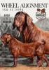 1 X KALAHARI RED STUD BUCK Krokodilnest Stoet - 2