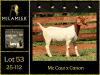 WITHDRAWN - 1 X BOER GOAT DOE Milamiek boerbokstoet