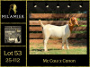 WITHDRAWN - 1 X BOER GOAT DOE Milamiek boerbokstoet - 2