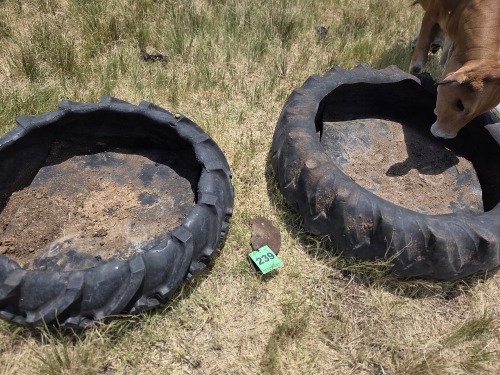1 X Tire Feeders large Dave Kriel