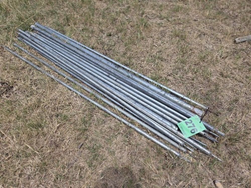 1 X Tent Poles Dave Kriel