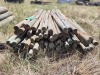 1 X Untreated Laths Dave Kriel - 2