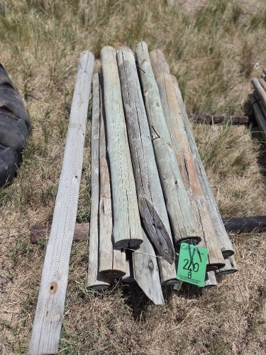 1 X Wooden Fence Poles Dave Kriel