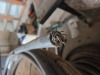 1 X Industrial Electrical Cable Dave Kriel - 2
