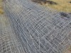 1 X Welded Mesh Dave Kriel - 2