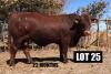 1 X BULL DRAUGHT/M 1986 VAT