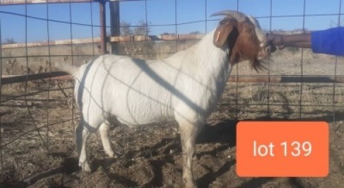1 X RAM NO VAT