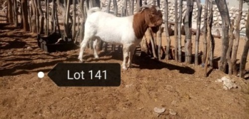 1 X RAM NO VAT