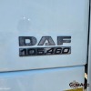 1 X 2019 DAF XF 105.460 6X4 HORSE STOCK NR: 1683 - 9