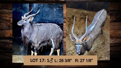 1X Njala/Nyala M:1 T: 1