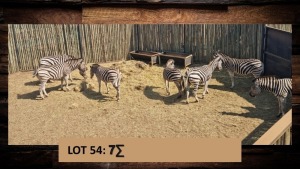 7X Sebra/Zebra T: 7(per stuk om lot te neem)