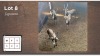 4X Blesbok Jagramme M:4 (Per Piece to take the lot/Per stuk om lot te neem)