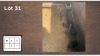 7X Swart Rooibok V/F:7 (Per Piece to take the lot/Per stuk om lot te neem)