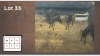 5X Swart Rooibok V/F:5 (Per Piece to take the lot/Per stuk om lot te neem)