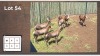 6X Blesbok V/F:6 (Per Piece to take the lot/Per stuk om lot te neem)
