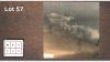 2X Blouwildebees M:2 (Per Piece to take the lot/Per stuk om lot te neem)