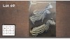 3X Zebra M: V/F: (Per Piece to take the lot/Per stuk om lot te neem)