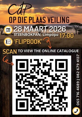 QR CODE TO FLIPBOOK