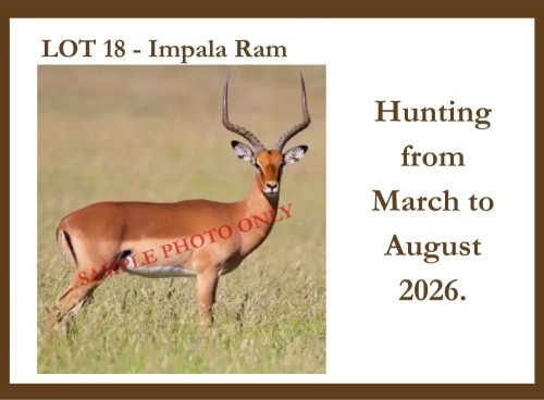 1 X Impala M Hardekool Akademie