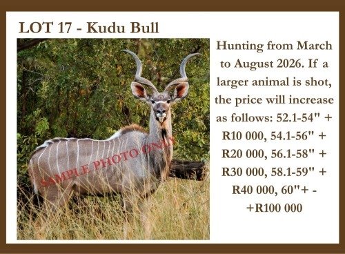 1 X Kudu M Hardekool Akademie