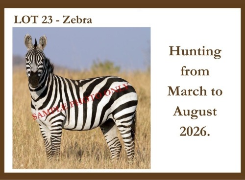 2 X Zebra M / F Hardekool Akademie (Pay per item to take the lot)