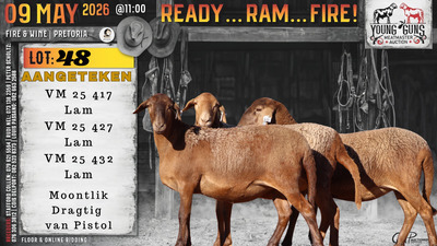 1 X MEATMASTER RECORDED EWE Vrede Meatmasters