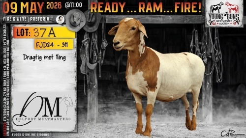 1 X MEATMASTER RECORDED RAM Delport Meatmasters