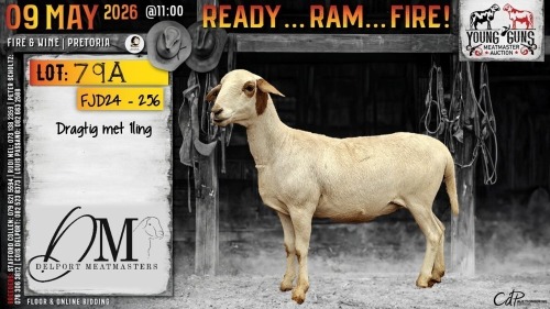 1 X MEATMASTER RECORDED RAM Delport Meatmasters
