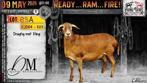 WITHDRAWN - 1 X MEATMASTER RECORDED RAM Delport Meatmasters