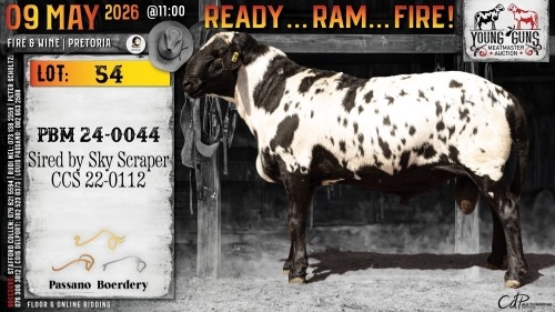 WITHDRAWN - 1 X MEATMASTER NOT RECORDED RAM Passano Boerdery