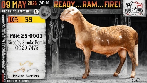 1 X MEATMASTER RECORDED RAM Passano Boerdery