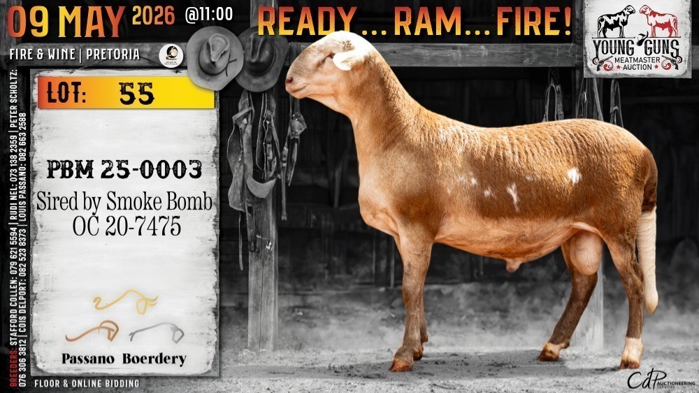 1 X MEATMASTER RECORDED RAM Passano Boerdery YOUNG GUNS MEATMASTER ...