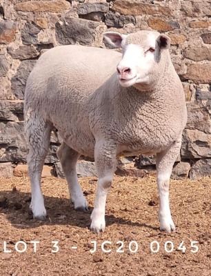 1X EWE JC200045 JANCOR IDF STOET