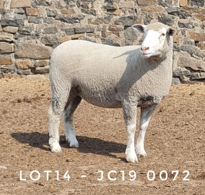 1X EWE JC190072 JANCOR IDF STOET