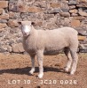 1X EWE JC200026 JANCOR IDF STOET